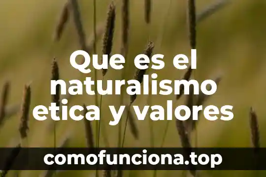 Qué es ragdoll gráficos 8 Que es el naturalismo etica y valores