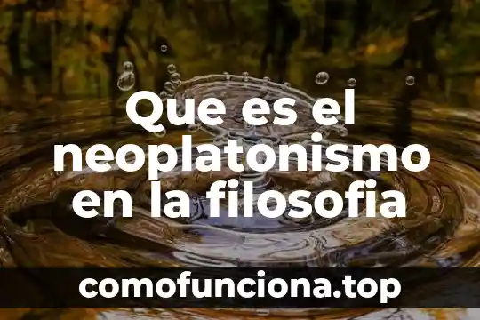 Que es percepcion filosofia 8 Que es el neoplatonismo en la filosofia