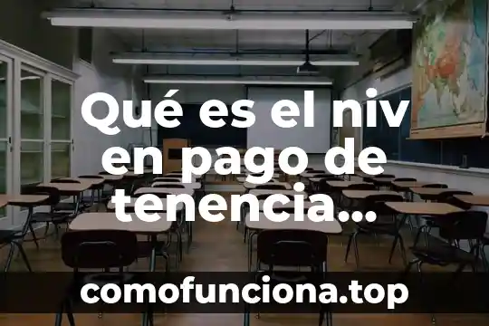 Que es el concepto asistencia social vehicular 4 Qué es el niv en pago de tenencia vehicular