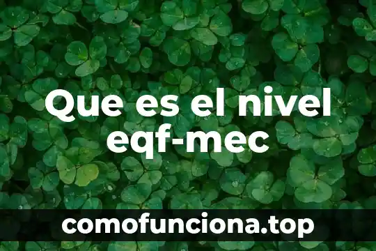 Que es alto nivel de grenetina 4 Que es el nivel eqf-mec