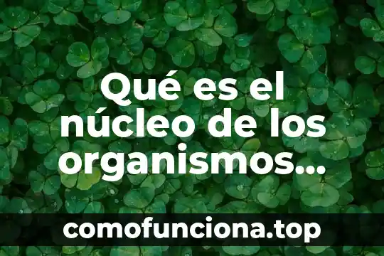 Que es diversidad de los seres vivos concepto 8 Qu茅 es el n煤cleo de los organismos vivos