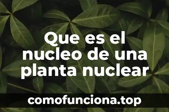 Identidad generica nuclear que es 7 Que es el nucleo de una planta nuclear
