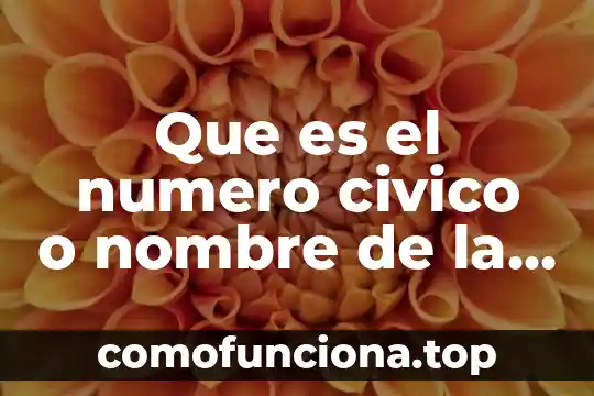 Qué es el número de folio que medio CEDH 7 Que es el numero civico o nombre de la casa