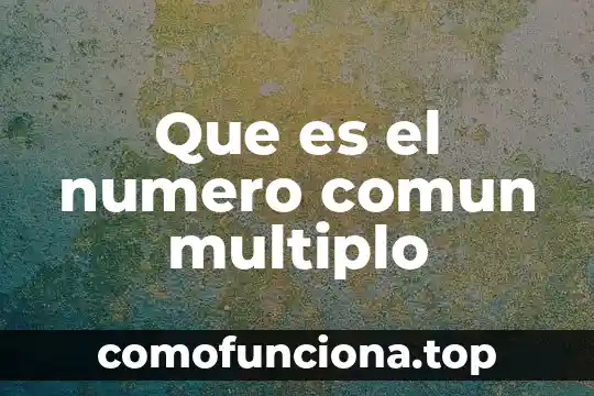 Qué es el número de folio que medio CEDH 3 Que es el numero comun multiplo