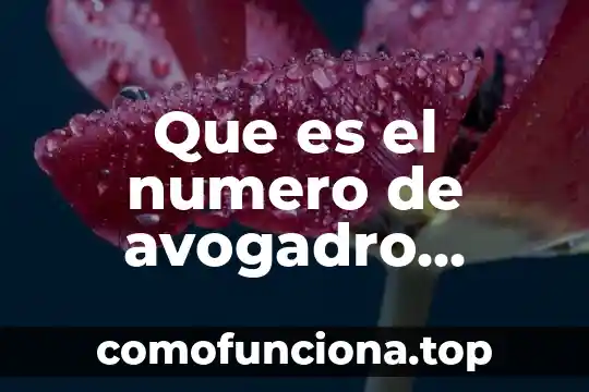 Qué es el número de cuenta en mi Telcel 7 Que es el numero de avogadro ejemplos