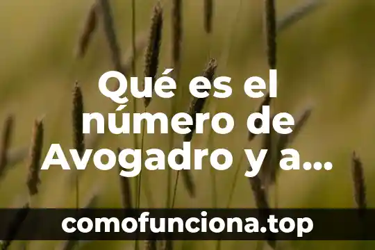 Qué es un número ordinal en gramática 8 Qué es el número de Avogadro y a cuánto equivale