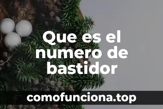 Número de Reservación que es 4 Que es el numero de bastidor