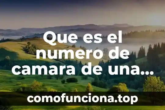 Qué es el número de folio que medio CEDH 6 Que es el numero de camara de una bicicleta