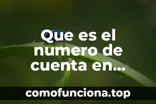 Qué es el número interbancario 4 Que es el numero de cuenta en fedex
