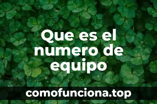Qué es número de revisión en un switch 4 Que es el numero de equipo
