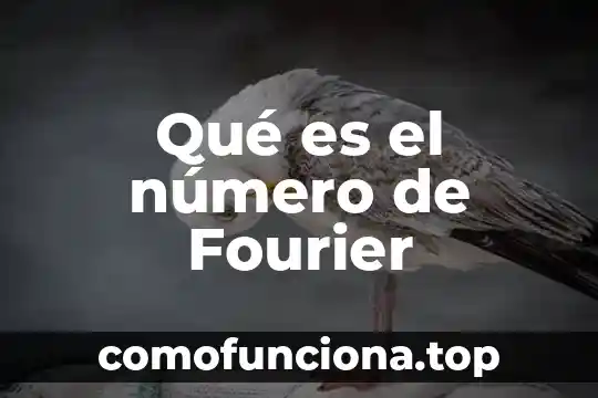 Que es el numero atomico como se representa 4 Qué es el número de Fourier