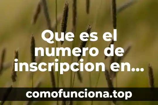 Qué es un número de convenio 3 Que es el numero de inscripcion en una escritura