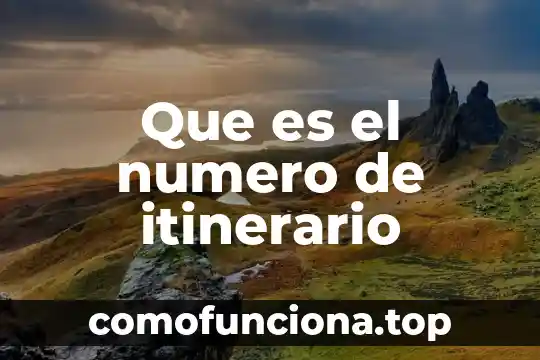 Qué es número de revisión en un switch 6 Que es el numero de itinerario