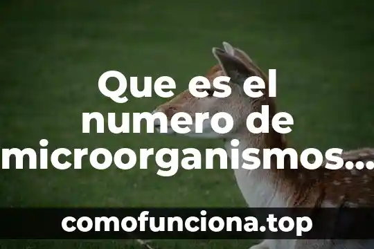 Número e que es 7 Que es el numero de microorganismos presentes