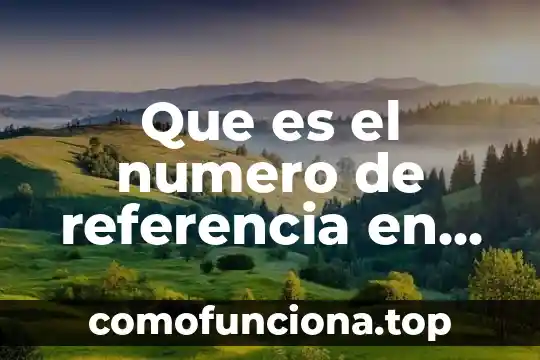 Qué es número de revisión en un switch 7 Que es el numero de referencia en un pago sigaf