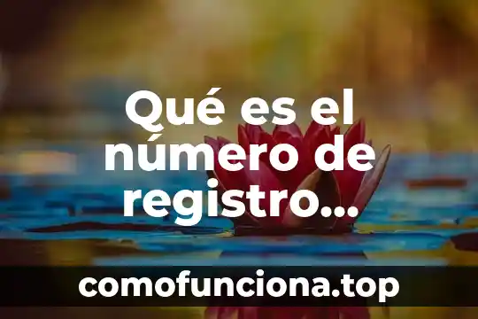Que es número bates 5 Qué es el número de registro público de comercio