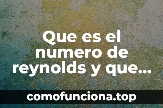 Qué es número de revisión en un switch 5 Que es el numero de reynolds y que ecuacion tiene