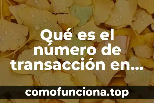 Transferencia banca móvil Santander que es el número de referencia 6 Qué es el número de transacción en un ticket