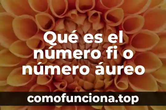 Qué es número de masa de un elemento atómico 8 Qué es el número fi o número áureo