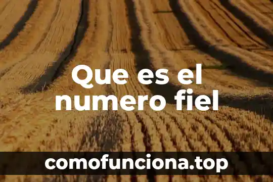 Qué es el número pí 8 Que es el numero fiel
