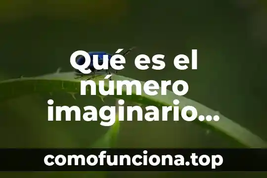 Que es el numero atomico como se representa 6 Qué es el número imaginario puro