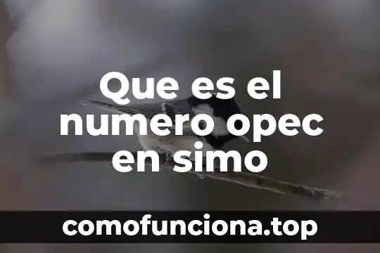 Número Kua que es 4 Que es el numero opec en simo