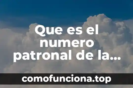 Empresa de sociedad anónima que es 7 Que es el numero patronal de la empresa