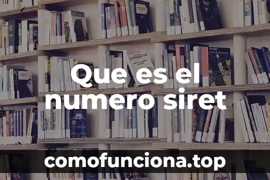 Qué es número de revisión en un switch 8 Que es el numero siret