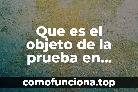 Que es la representación común en derecho civil 6 Que es el objeto de la prueba en materia civil