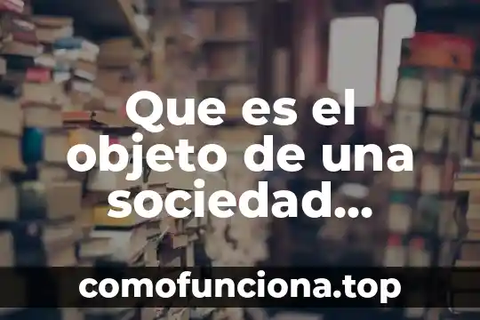 Qué es la escritura constitutiva de una sociedad anónima 3 Que es el objeto de una sociedad anonima