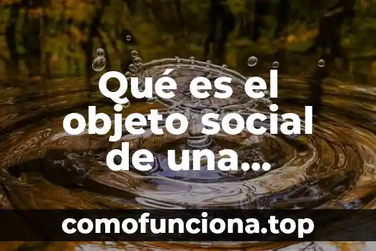 Qué es la escritura constitutiva de una sociedad anónima 4 Qué es el objeto social de una sociedad anónima México