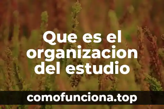 Que es el dolor de rs segun las creencias populares 7 Que es el organizacion del estudio