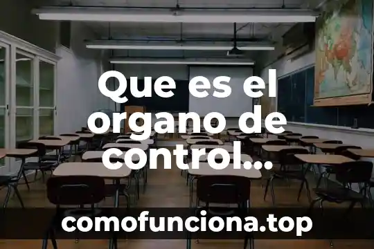 Qué es el órgano del ser humano 5 Que es el organo de control constitucional