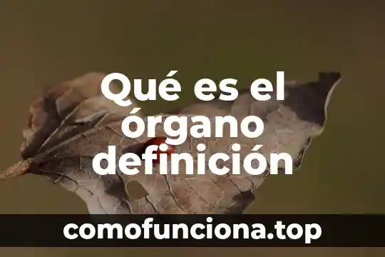 Órgano del sistema nervioso que es dañado por la marihuana 5 Qué es el órgano definición