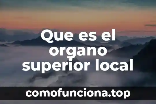Que es y que estudian la antropologia 5 Que es el organo superior local