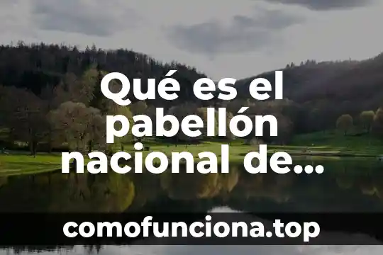 Qué es escarnio público en Colombia 5 Qué es el pabellón nacional de Colombia