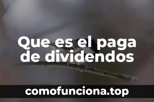 Que es lo que paga el padrino de bautizo 6 Que es el paga de dividendos