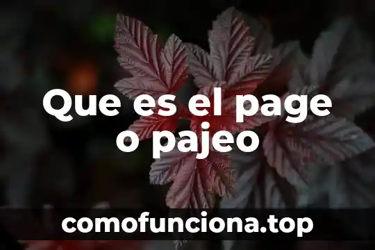 Para que es el landing page 7 Que es el page o pajeo