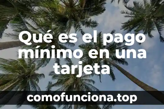 Qué es un número de tarjeta digital 4 Qué es el pago mínimo en una tarjeta