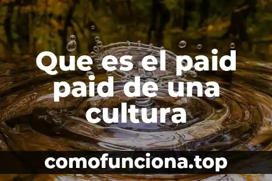 Que es la yanquizacion de la cultura 8 Que es el paid paid de una cultura