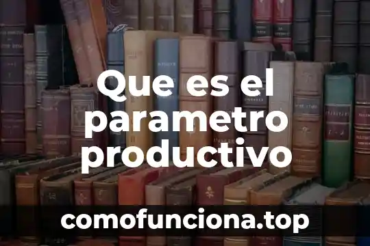 Diagramas de que es un productivo 6 Que es el parametro productivo