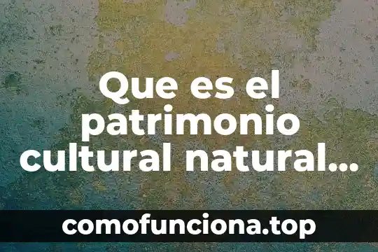 En derecho que es nombre domicilio y patrimonio 4 Que es el patrimonio cultural natural de nuevo leon