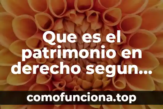 Qué es la fundamentación en derecho 8 Que es el patrimonio en derecho segun autores