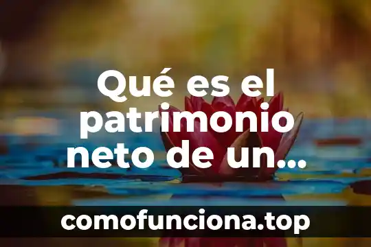 Que es un puerto de red en informatica 4 Qué es el patrimonio neto de un proyecto financiero