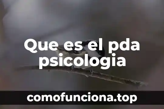 Que es el color en la psicologia 4 Que es el pda psicologia