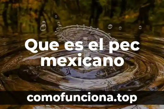 Que es la introduccion al conocimiento mexicano 4 Que es el pec mexicano