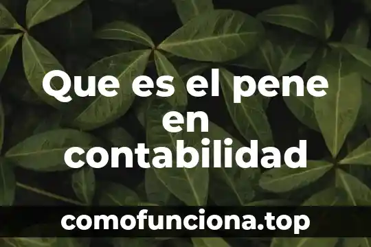 Que es el patrimonio para la contabilidad 3 Que es el pene en contabilidad