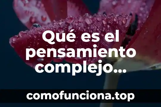 Que es el problema en razonamiento complejo 7 Qué es el pensamiento complejo según Tobón