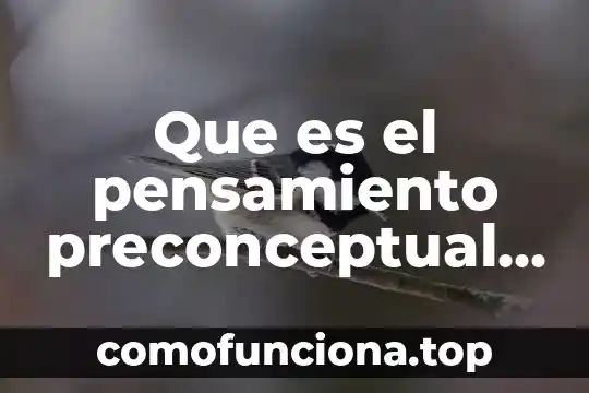 Historia del pensamiento económico que es 8 Que es el pensamiento preconceptual yahoo