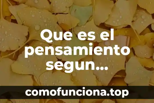Que es un principe de libertad segun kant 3 Que es el pensamiento segun immanuel kant